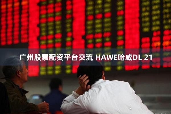 广州股票配资平台交流 HAWE哈威DL 21