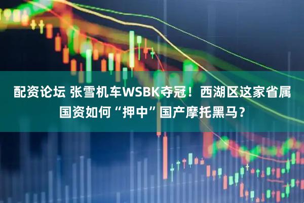 配资论坛 张雪机车WSBK夺冠！西湖区这家省属国资如何“押中”国产摩托黑马？